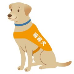 介助犬